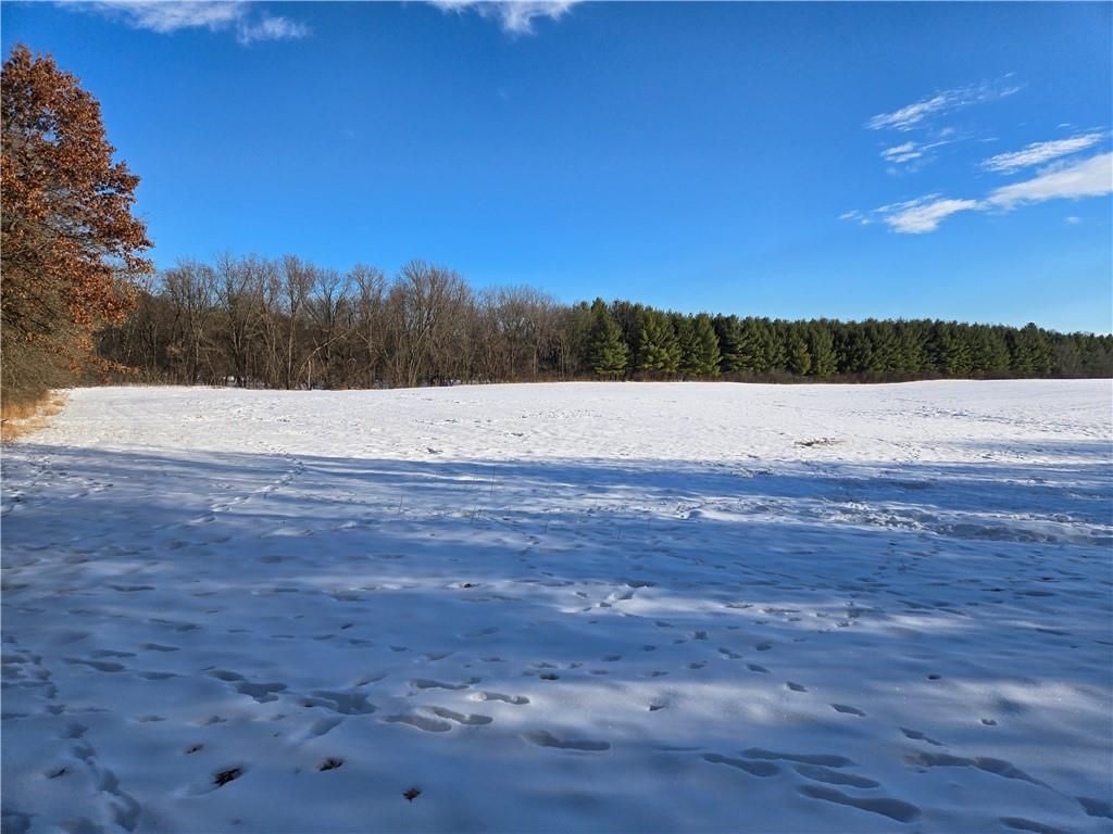 Photo of 20.05 Acres County Road N, Wheeler, WI 54772 (MLS # 1598103)