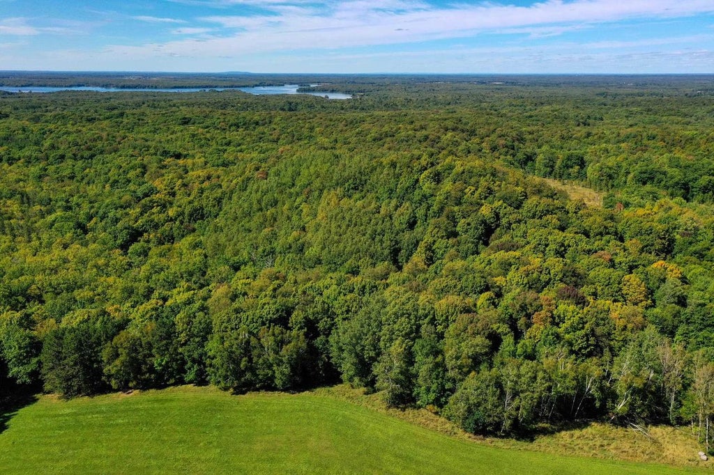 Photo of 34.34 Acres Brush Creek ROAD, Medford, WI 54451 (MLS # 22604661)