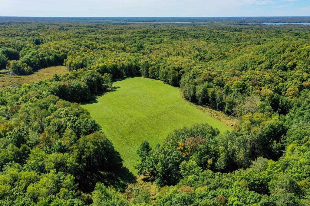 Photo of 34.34 Acres Brush Creek ROAD, Medford, WI 54451 (MLS # 22604661)