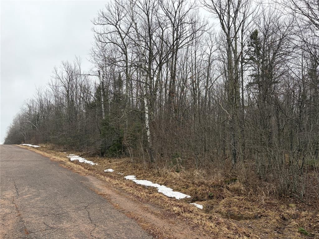 Photo of ON Hofer Road, Couderay, WI 54828 (MLS # 1599292)
