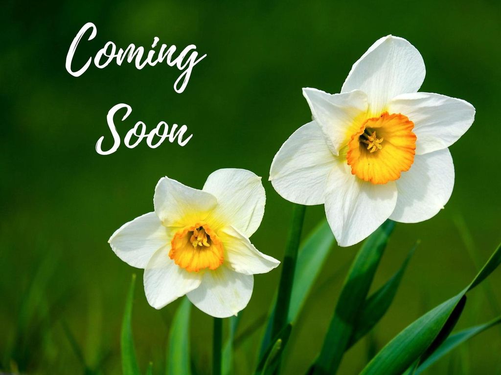 Photo of 216 Statz LANE, Dane, WI 53529 (MLS # 2017839)