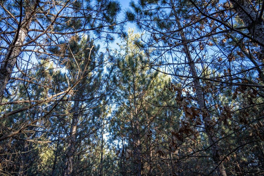 Photo of Lot 4 11th DRIVE, Friendship, WI 53934 (MLS # 2023897)