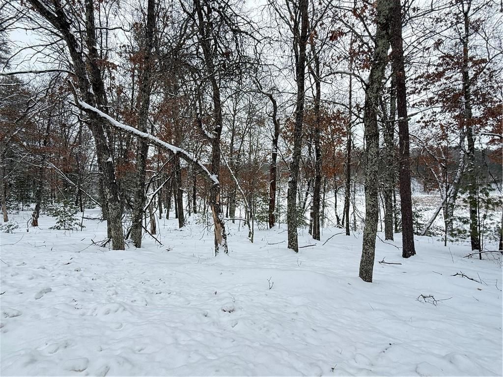 Photo of 30282 N Des Moines Lake Road, Webb Lake, WI 54830 (MLS # 1597886)