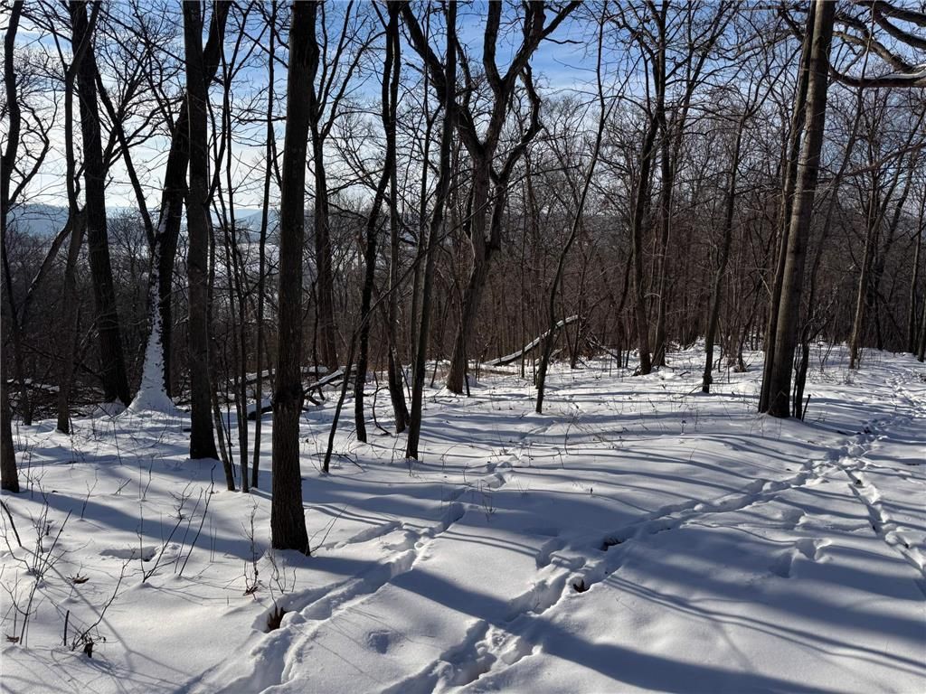 Photo of W27022 Whistle Pass ROAD, Dodge, WI 54661 (MLS # 7007838)