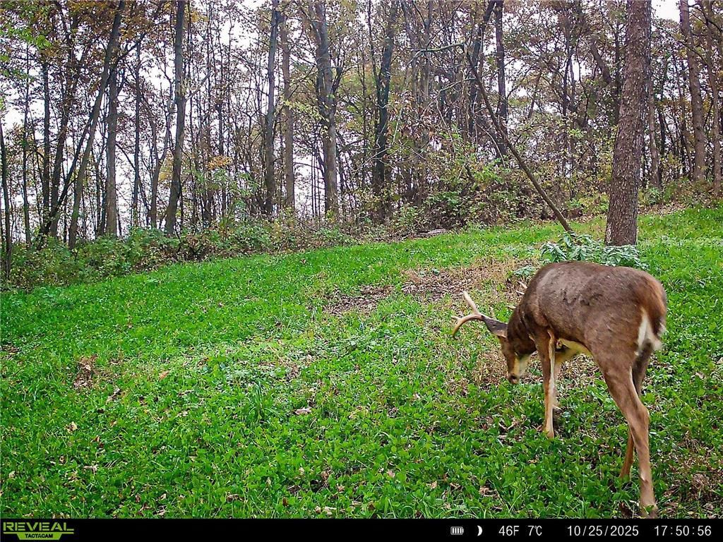 Photo of W27022 Whistle Pass ROAD, Dodge, WI 54661 (MLS # 7007838)