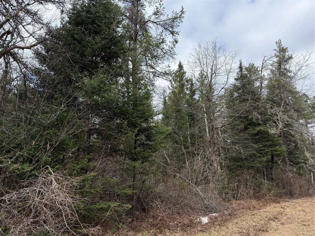 Photo of Lot 30 Maple COURT, Cable, WI 54821 (MLS # 1600287)