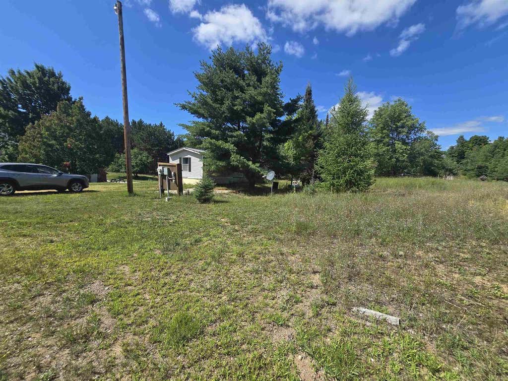 Photo of 4134 Peshtigo River ROAD, Laona, WI 54541 (MLS # 50330297)