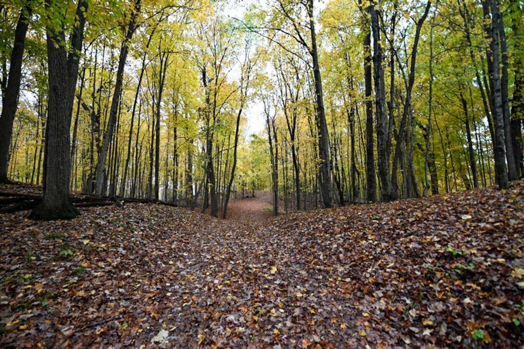 Photo of Lt0 County Line ROAD, Hartland, WI 53029 (MLS # 1940021)