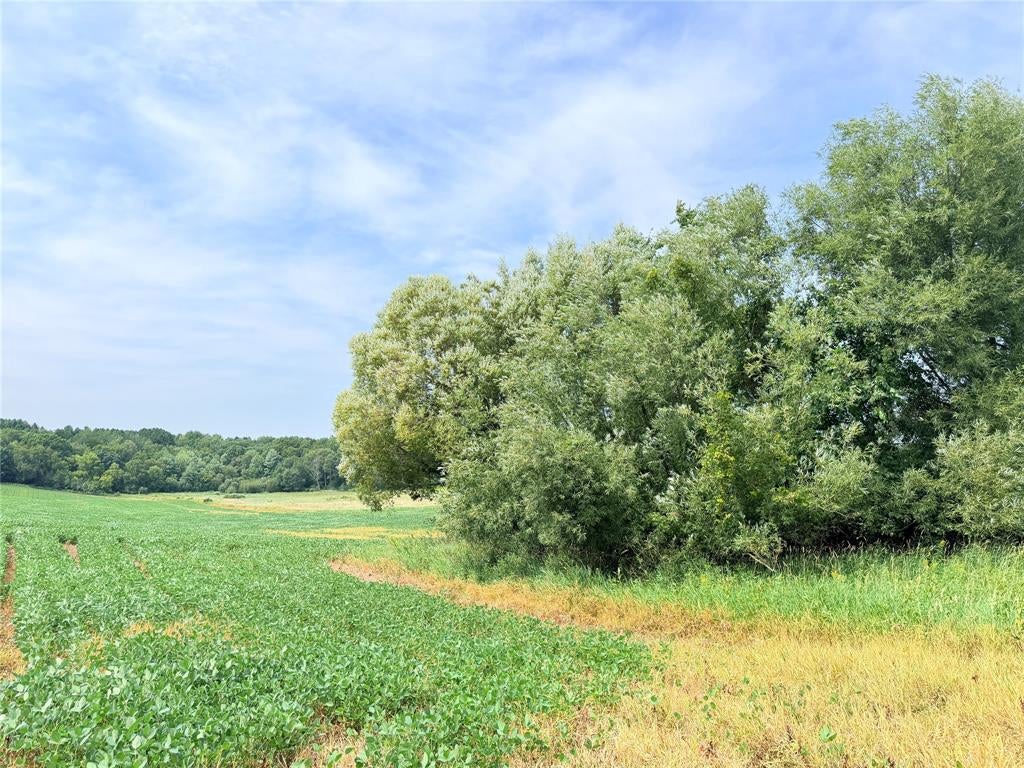 Photo of 10 Acres 215th STREET, St Croix Falls, WI 54024 (MLS # 1604962)