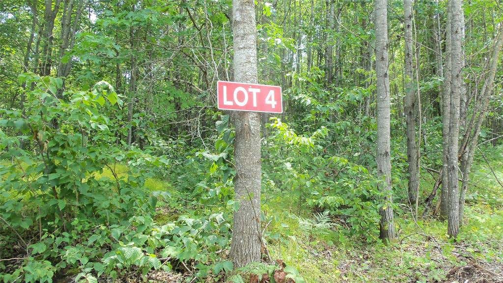 Photo of Lot 4 Birch Tree Trl, Spooner, WI 54801 (MLS # 1603812)