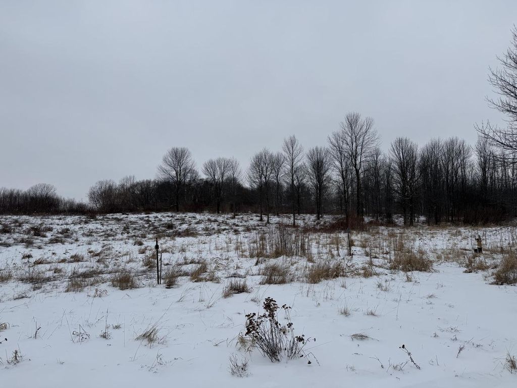 Photo of Lt99 Sandy Ridge DRIVE, Two Rivers, WI 54241 (MLS # 1949501)