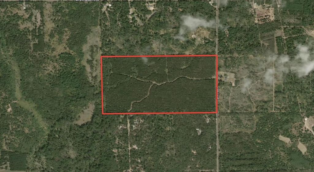 Photo of 80 AC 13th Ave S Acres ACRES, Arkdale, WI 54613 (MLS # 2009945)
