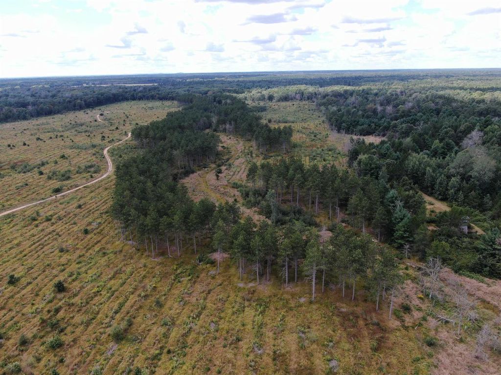Photo of 80 AC 13th Ave S Acres ACRES, Arkdale, WI 54613 (MLS # 2009945)