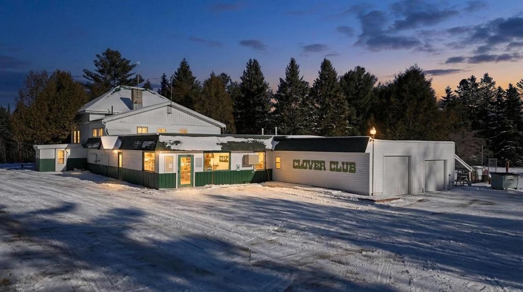 Photo of 8894 N County Road H, Irma, WI 54442 (MLS # 22505682)