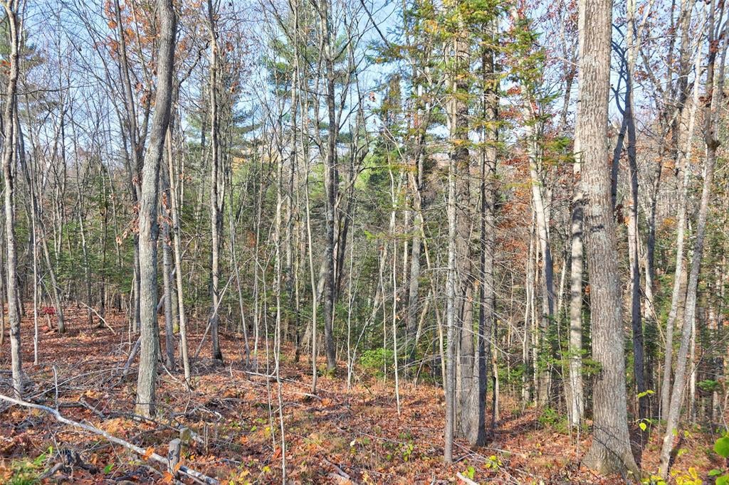 Photo of 13109W Nova ROAD, Hayward, WI 54843 (MLS # 1606224)