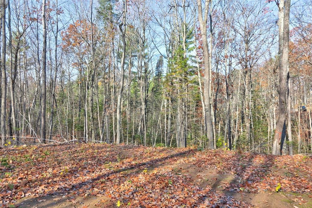Photo of 13109W Nova ROAD, Hayward, WI 54843 (MLS # 1606224)