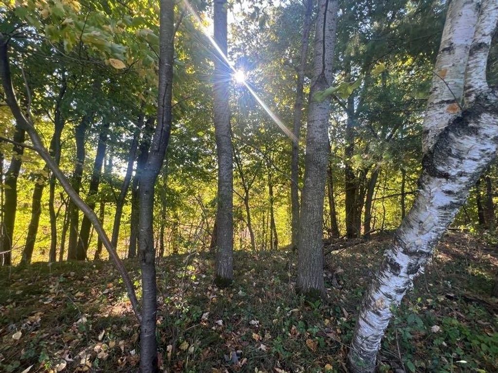 Photo of 1904 Pine AVENUE, Menomonie, WI 54751 (MLS # 1596349)