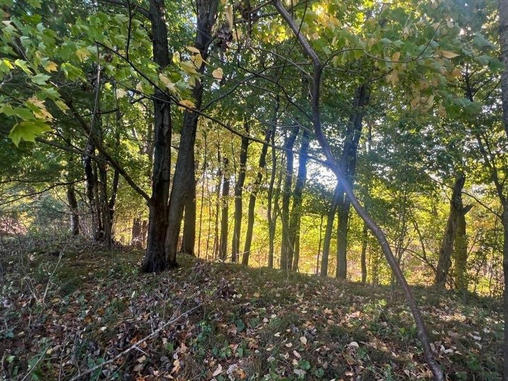 Photo of 1904 Pine AVENUE, Menomonie, WI 54751 (MLS # 1596349)