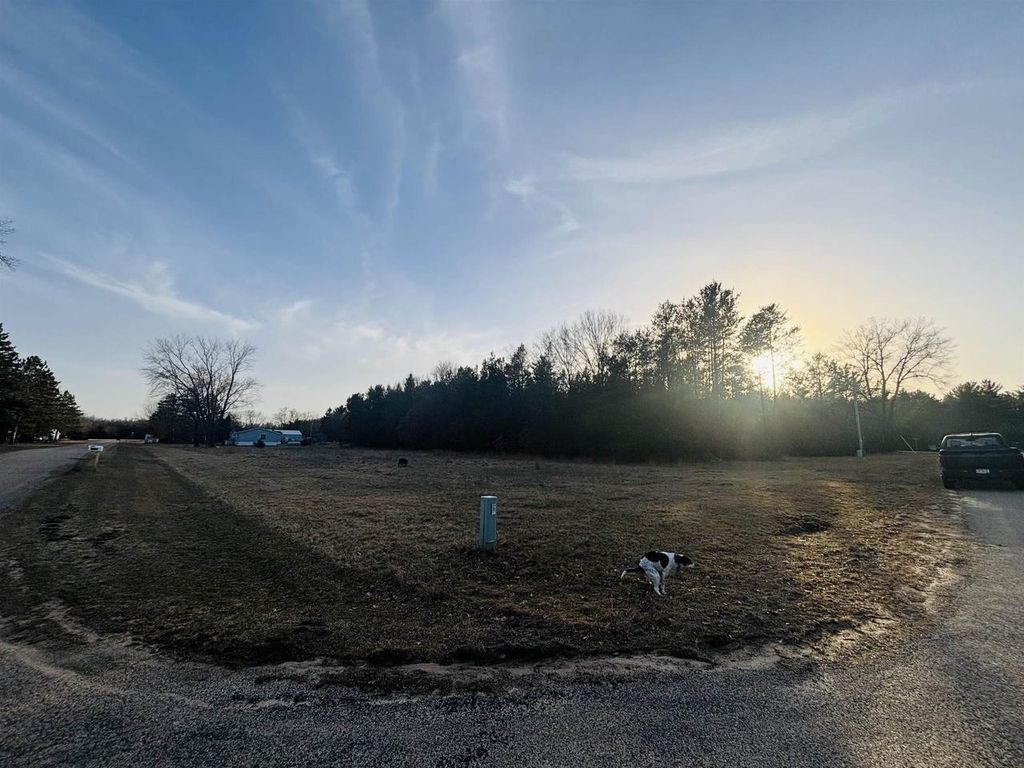 Photo of 000 Birch DRIVE, Adams, WI 53910 (MLS # 2018197)