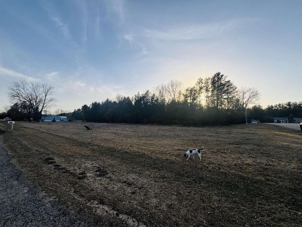 Photo of 000 Birch DRIVE, Adams, WI 53910 (MLS # 2018197)