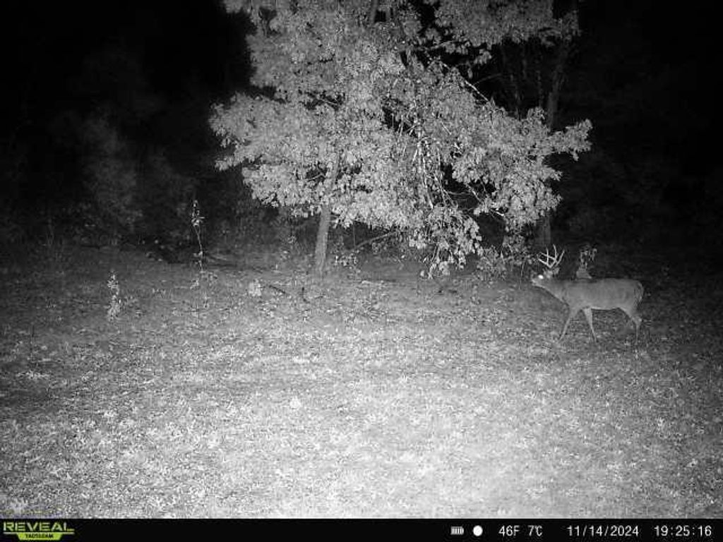 Photo of N1077 County Road Ch, Coloma, WI 54930 (MLS # 50318388)