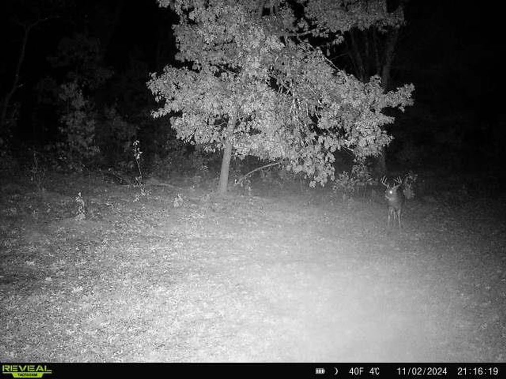 Photo of N1077 County Road Ch, Coloma, WI 54930 (MLS # 50318388)