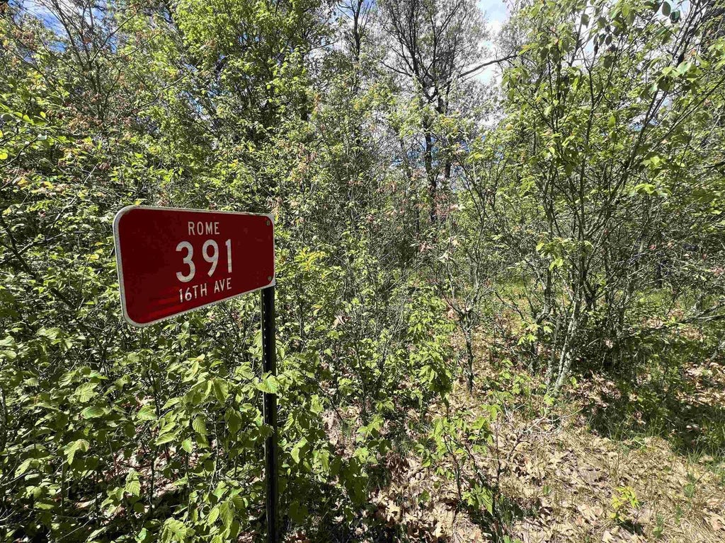 Photo of 391 16th AVENUE, Nekoosa, WI 54457 (MLS # 2023818)