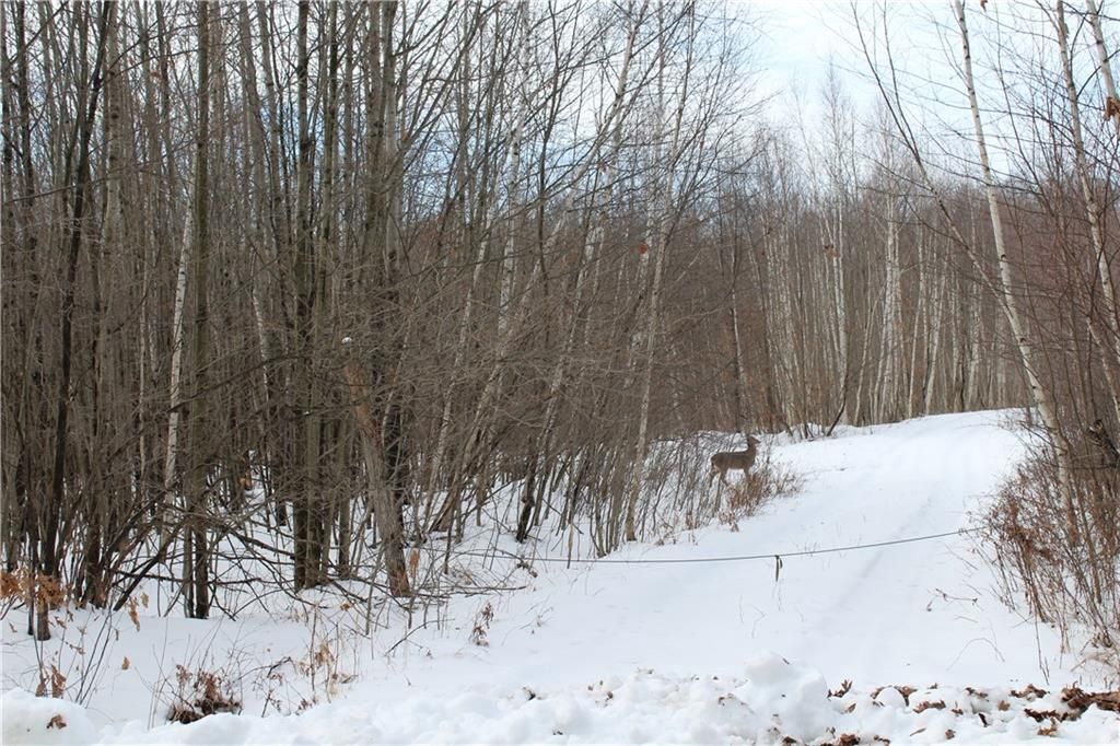 Photo of 000 Badger Avenue, Granton, WI 54436 (MLS # 1597787)