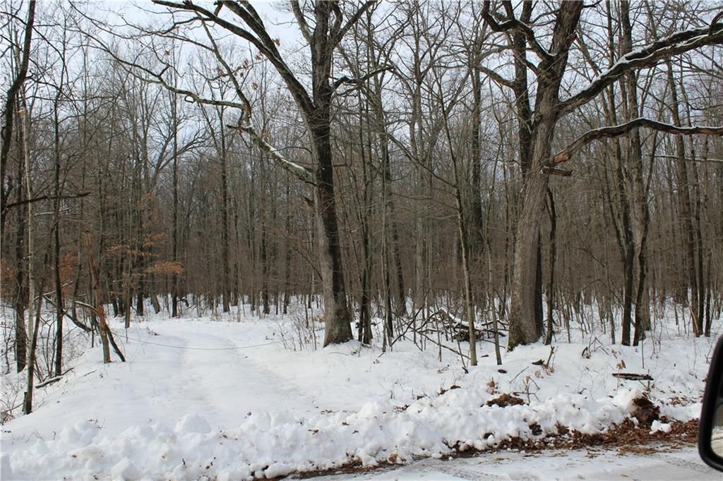 Photo of 000 Badger Avenue, Granton, WI 54436 (MLS # 1597787)