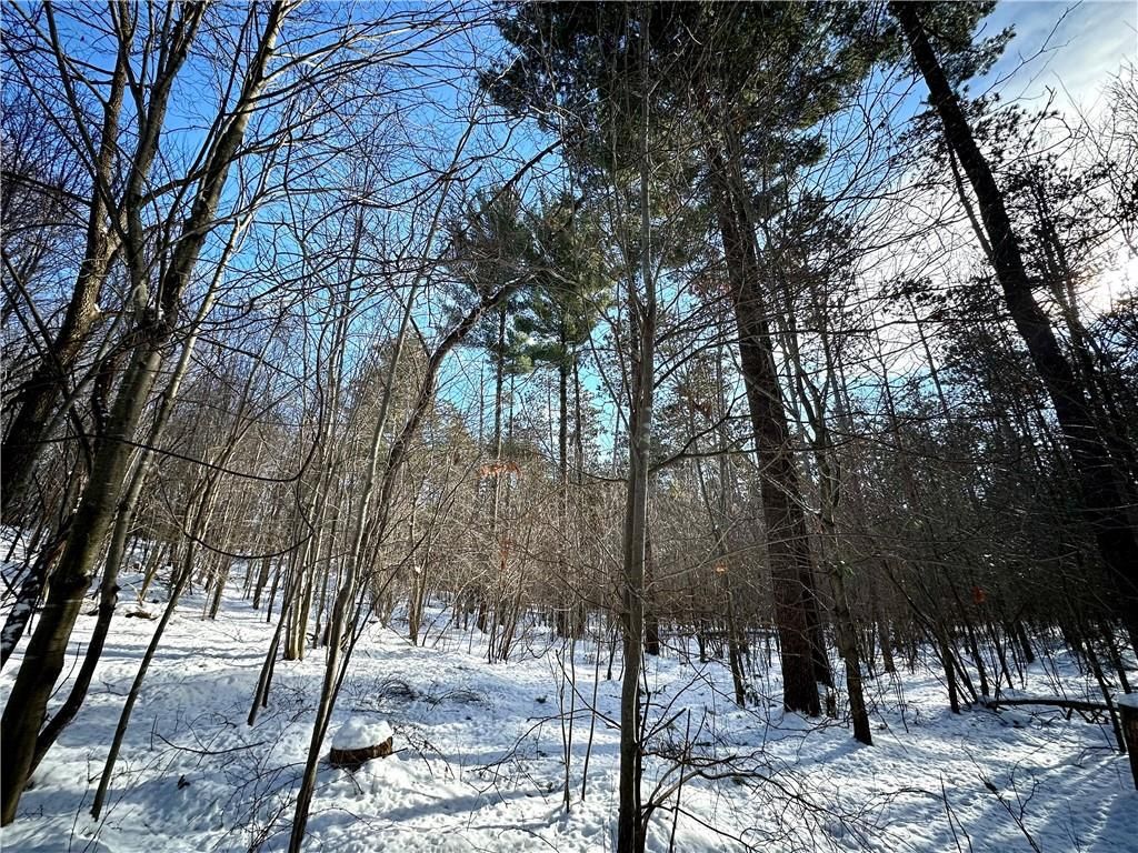 Photo of N7897 780th STREET, Colfax, WI 54730 (MLS # 1598014)