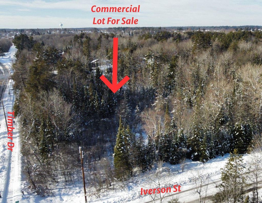 Photo of 4.08 acres Off Iverson STREET, Rhinelander, WI 54501 (MLS # 2014750)