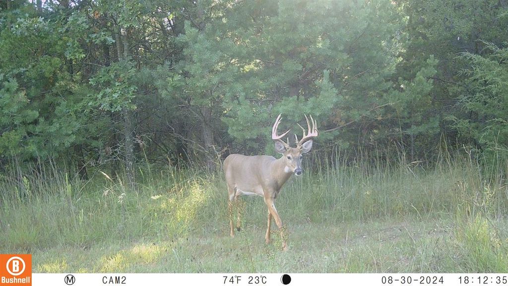 Photo of 342 Dyke AVENUE, Grand Marsh, WI 53936 (MLS # 2017122)