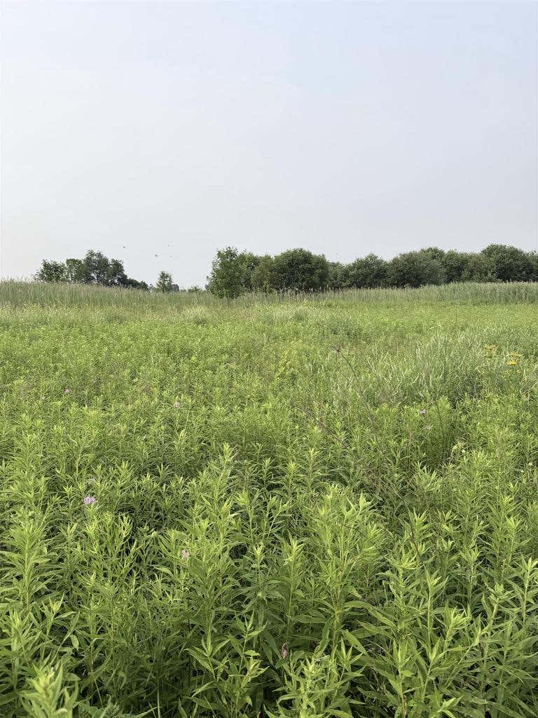 Photo of Foxwoods LANE, Abrams, WI 54101 (MLS # 50329177)