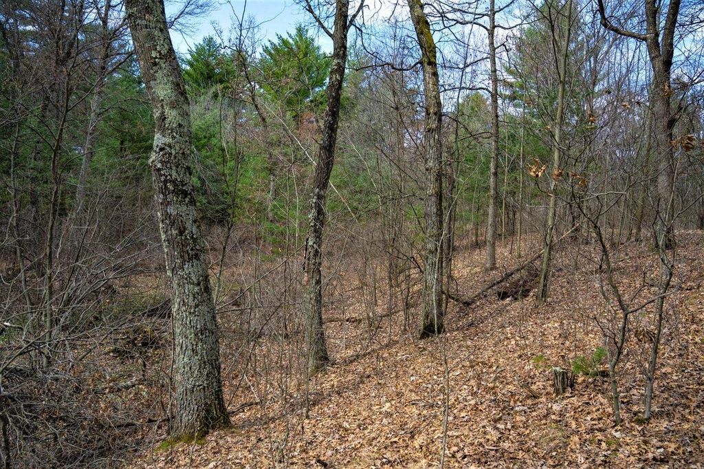 Photo of Lot 254 Dakota Junction, Friendship, WI 53934 (MLS # 2022455)