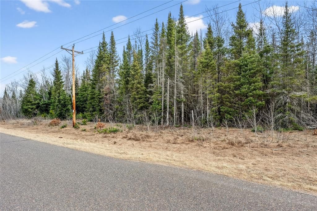 Photo of 0000 Main Rd, Springbrook, WI 54875 (MLS # 1599597)