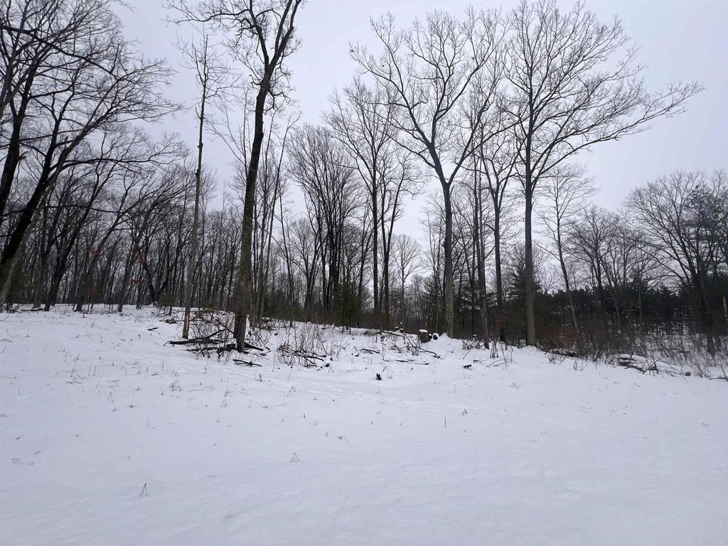 Photo of Rhett LANE, Wausaukee, WI 54177 (MLS # 50319791)