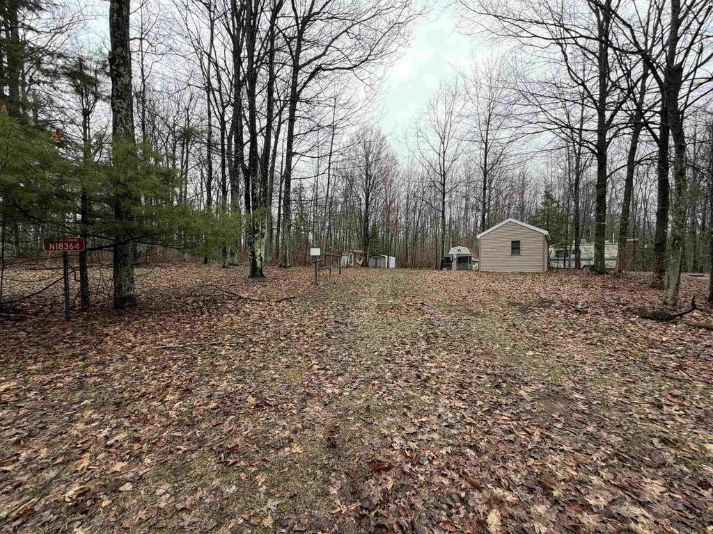 Photo of N18364 Little Bear ROAD, Pembine, WI 54156 (MLS # 50324387)