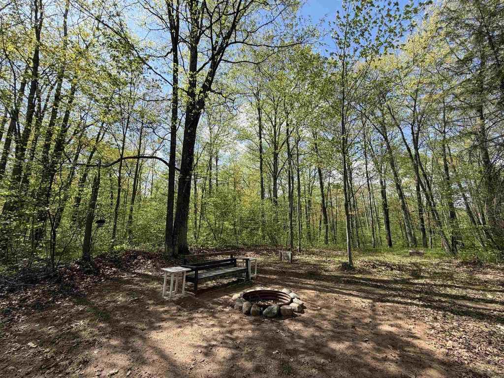 Photo of N18364 Little Bear ROAD, Pembine, WI 54156 (MLS # 50324387)