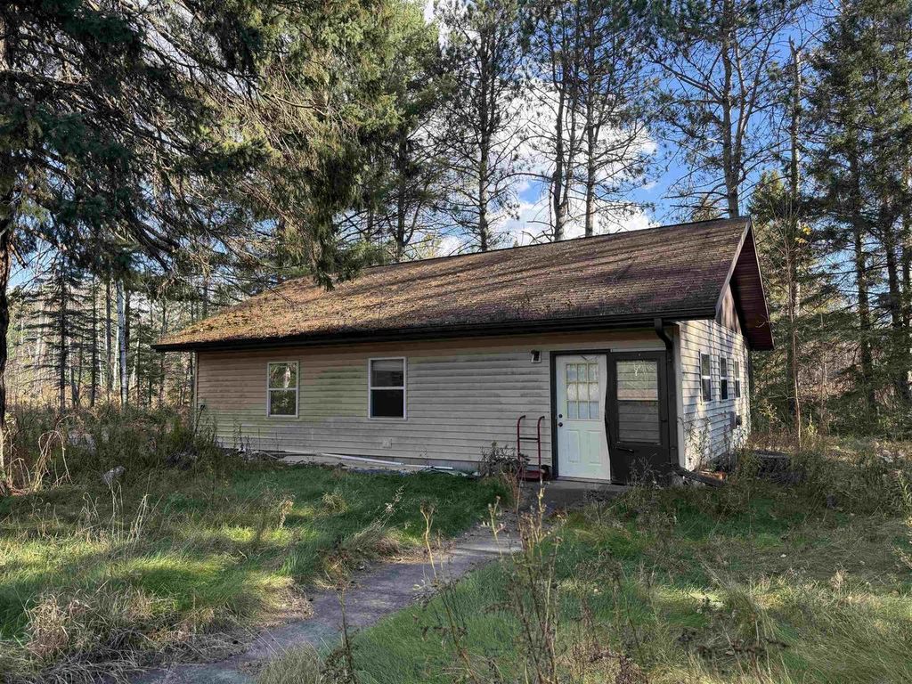 Photo of N9625 Alcedo STREET, Summit Lake, WI 54485 (MLS # 22505444)