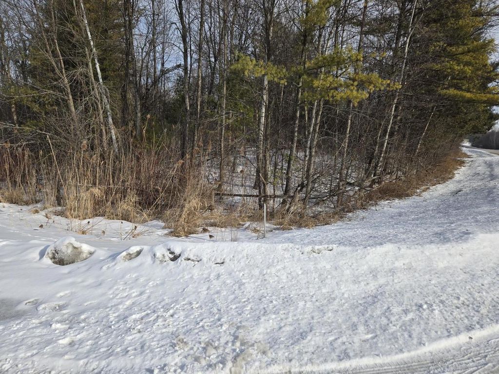 Photo of Riverdale DRIVE, Hobart, WI 54155 (MLS # 50320936)