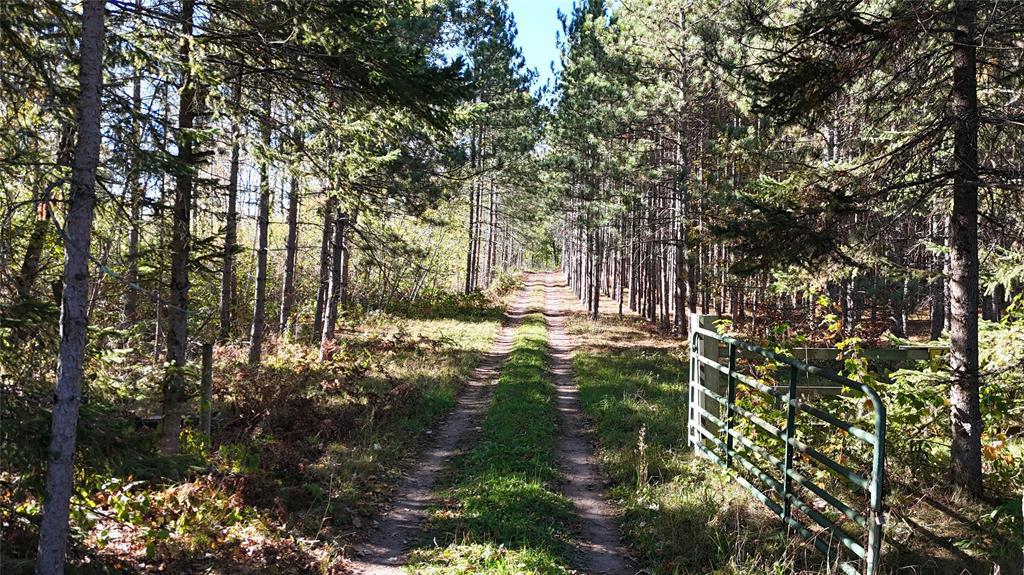 Photo of TBD CC Mann Road, Spooner, WI 54801 (MLS # 1602851)
