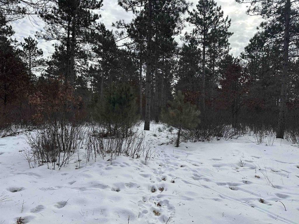 Photo of Parc 1800455A Tower ROAD, Wisconsin Rapids, WI 54449 (MLS # 22600464)