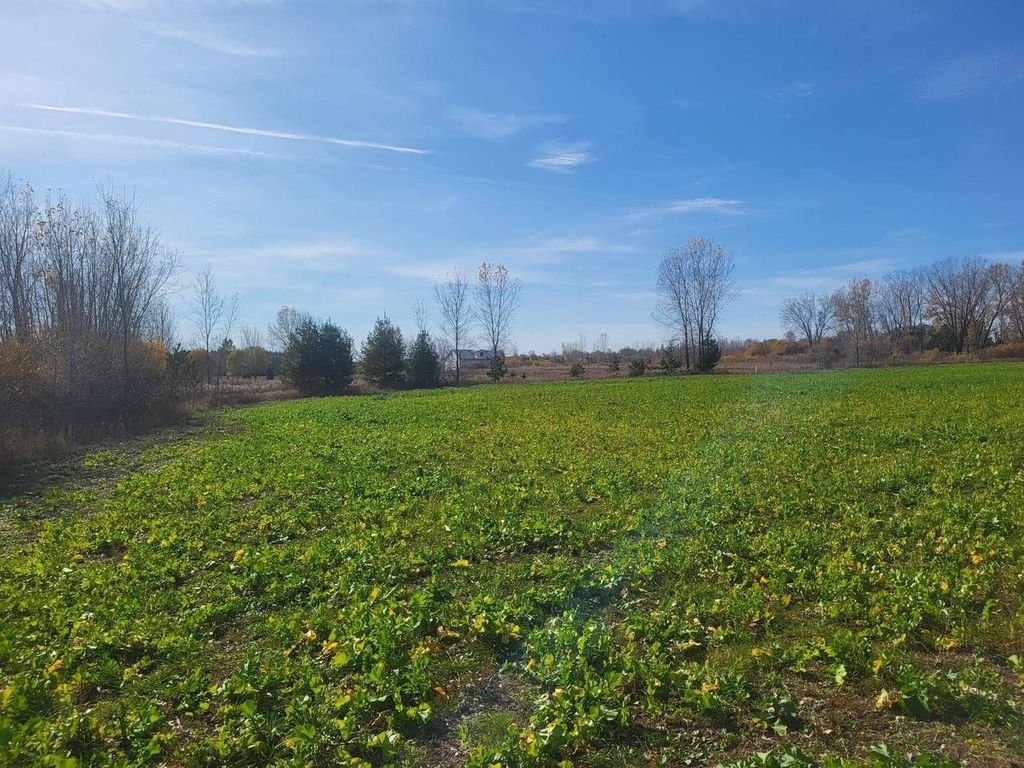 Photo of 4446 Molitor ROAD, Lena, WI 54139 (MLS # 50317237)