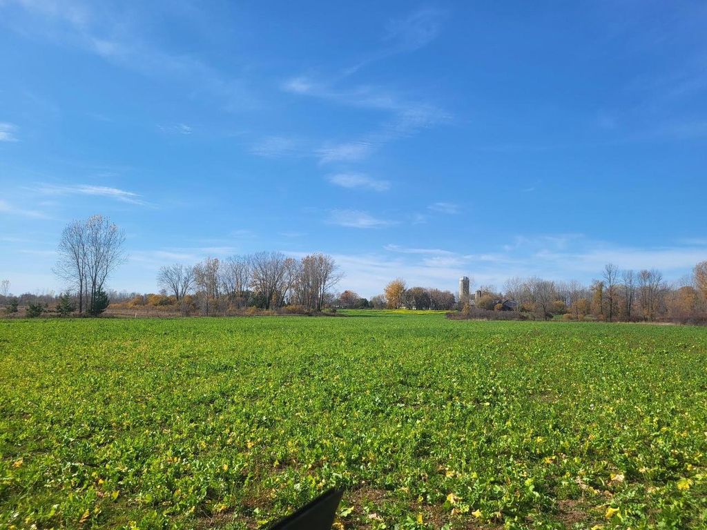 Photo of 4446 Molitor ROAD, Lena, WI 54139 (MLS # 50317237)