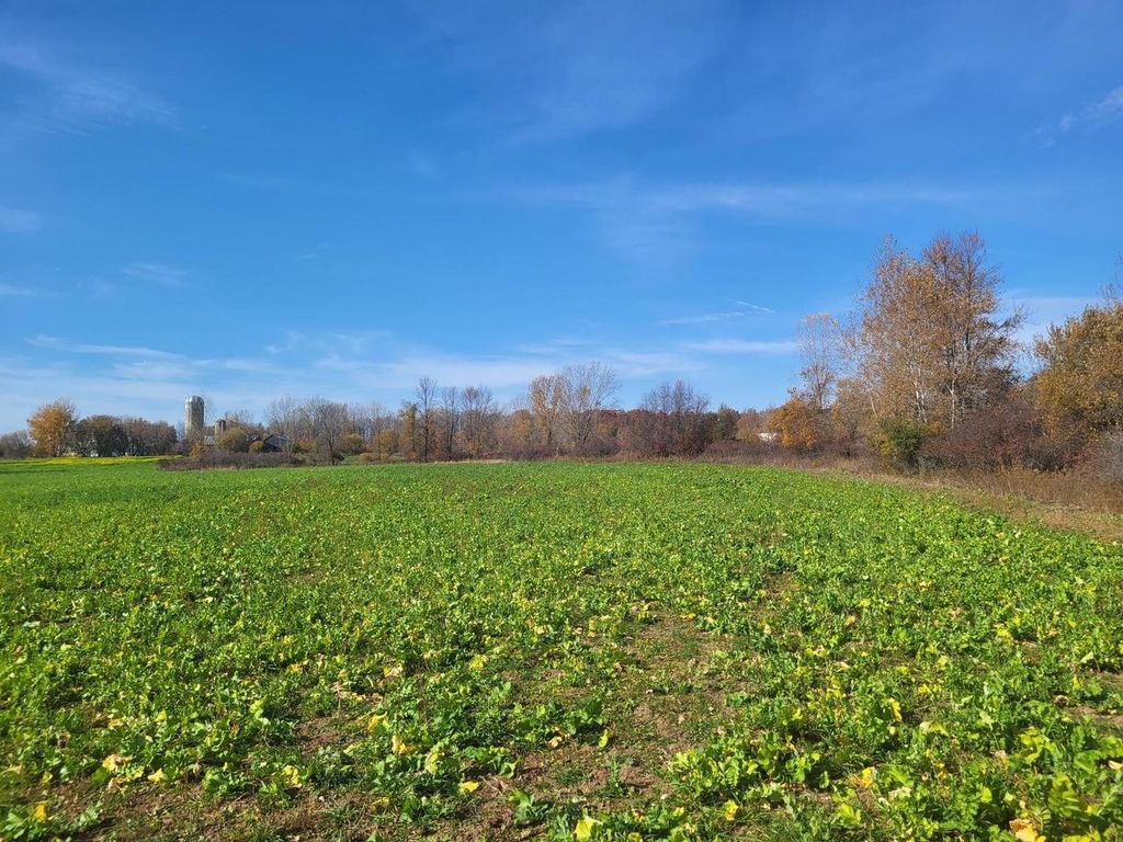 Photo of 4446 Molitor ROAD, Lena, WI 54139 (MLS # 50317237)