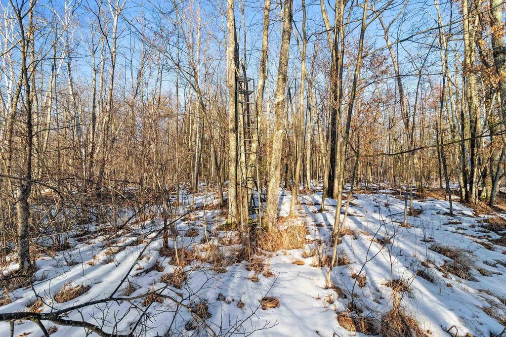 Photo of Kutz ROAD, Peshtigo, WI 54157 (MLS # 50321408)