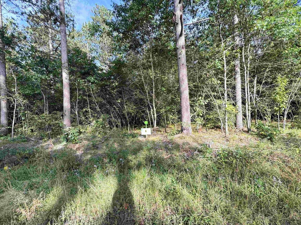Photo of Lot 6 Scout ROAD, Mosinee, WI 54455 (MLS # 22604737)