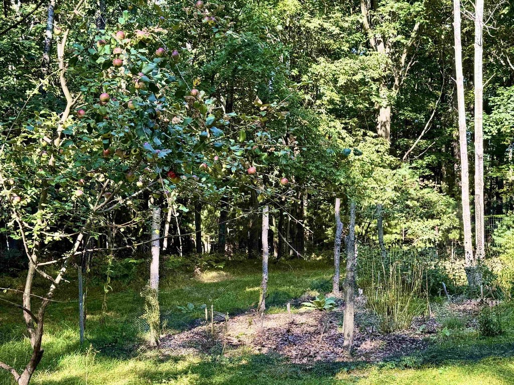 Photo of Maplewood LANE, Sobieski, WI 54171 (MLS # 50332278)