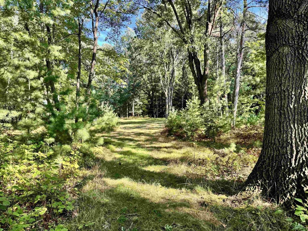 Photo of Maplewood LANE, Sobieski, WI 54171 (MLS # 50332278)
