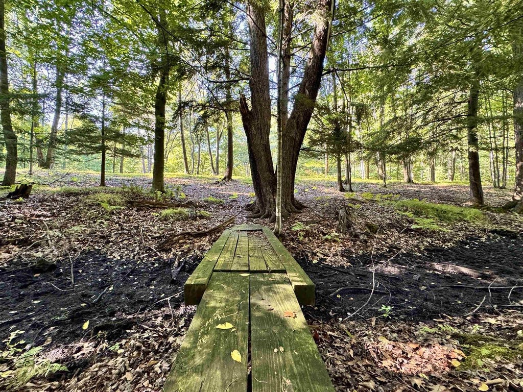 Photo of Maplewood LANE, Sobieski, WI 54171 (MLS # 50332278)